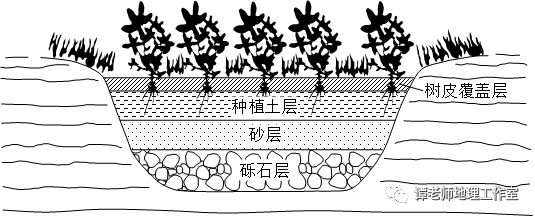 1.铺设树皮覆盖层的主要目的是