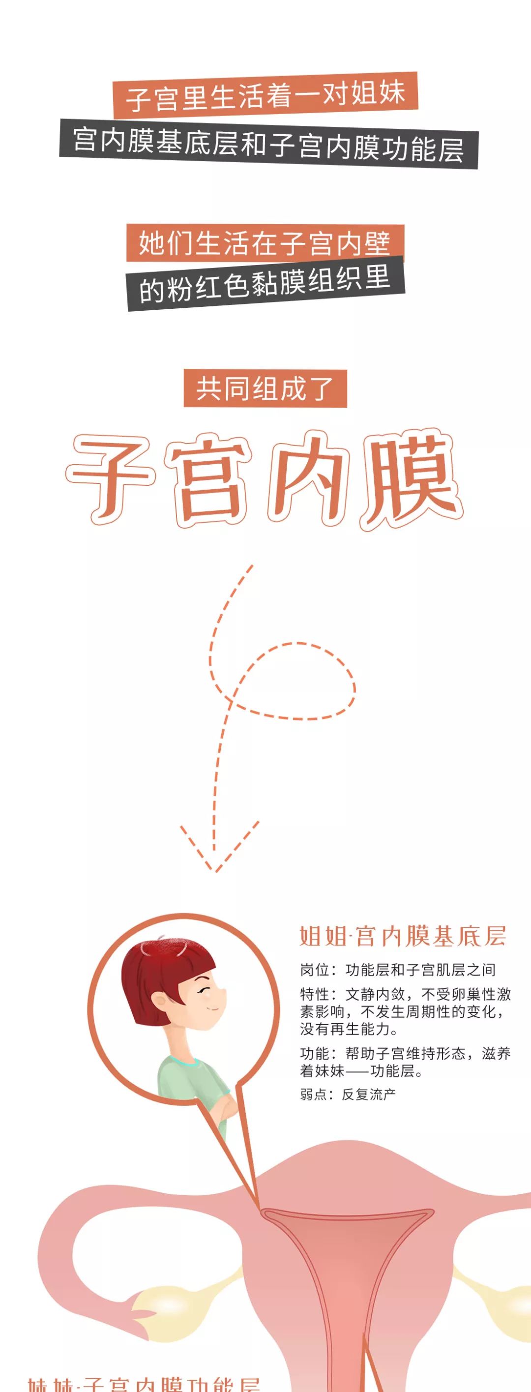 子宫内膜：大姨妈也曾经在阅历高考的年岁！