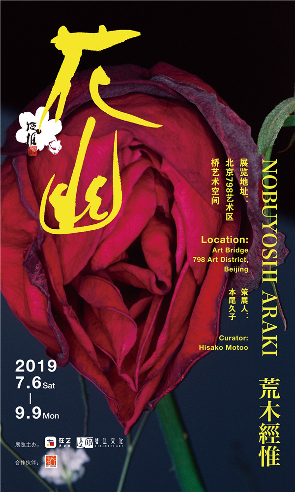 “荒木经惟·花幽”将在798艺术区桥艺术空间开幕