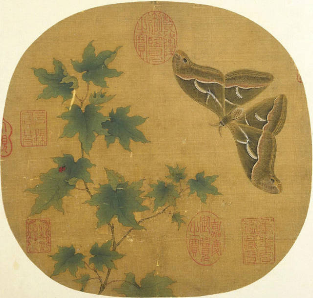 佚名《青枫巨蝶图》