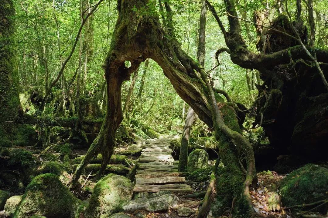 《千与千寻》国内上映,宫崎骏动画的这些取景地你都知道吗?