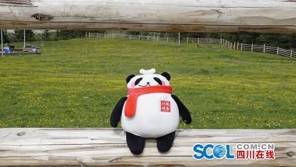 援藏纪行|9月可坐飞机到德格独木岭 体验牧俗风情