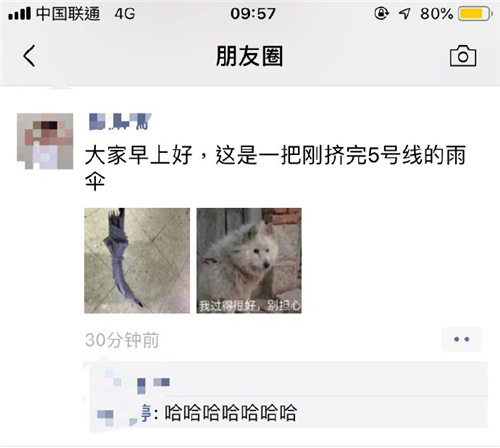 每日神段子腿毛多其实是一件好事