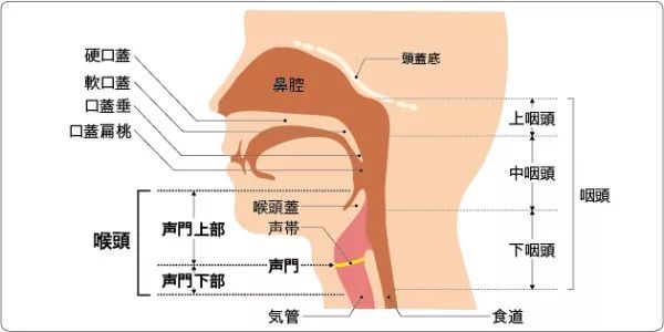 被魚刺卡喉到醫院檢查，竟查出癌症！早期症狀跟感冒很像|新聞早茶 健康 第3張