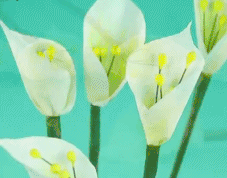 壁纸 花 桌面 227_178 gif 动态图 动图