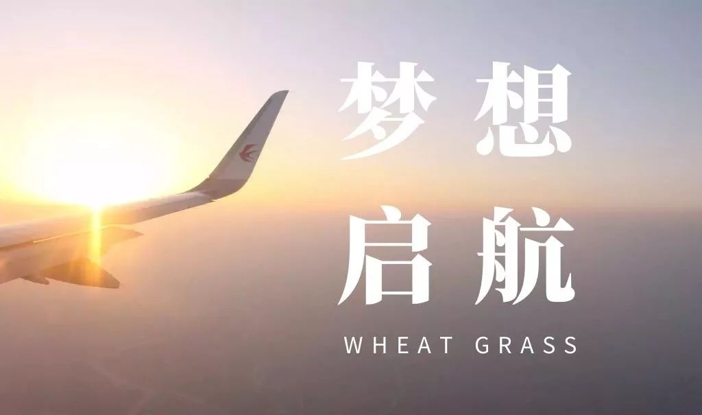 梦在蓝天 我心飞翔 ——第45届世界技能大赛飞机维修项目选手叶钟盛