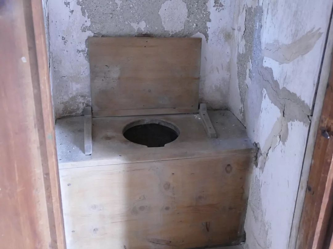 论对地球的贡献,苍蝇比你大