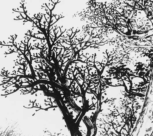 黎雄才:树木,山石,流水烟云绘画技法图解