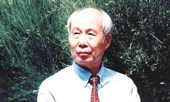 《昨天的云》：王鼎钧，中产阶级标准，天棚石榴树，肥狗胖丫头