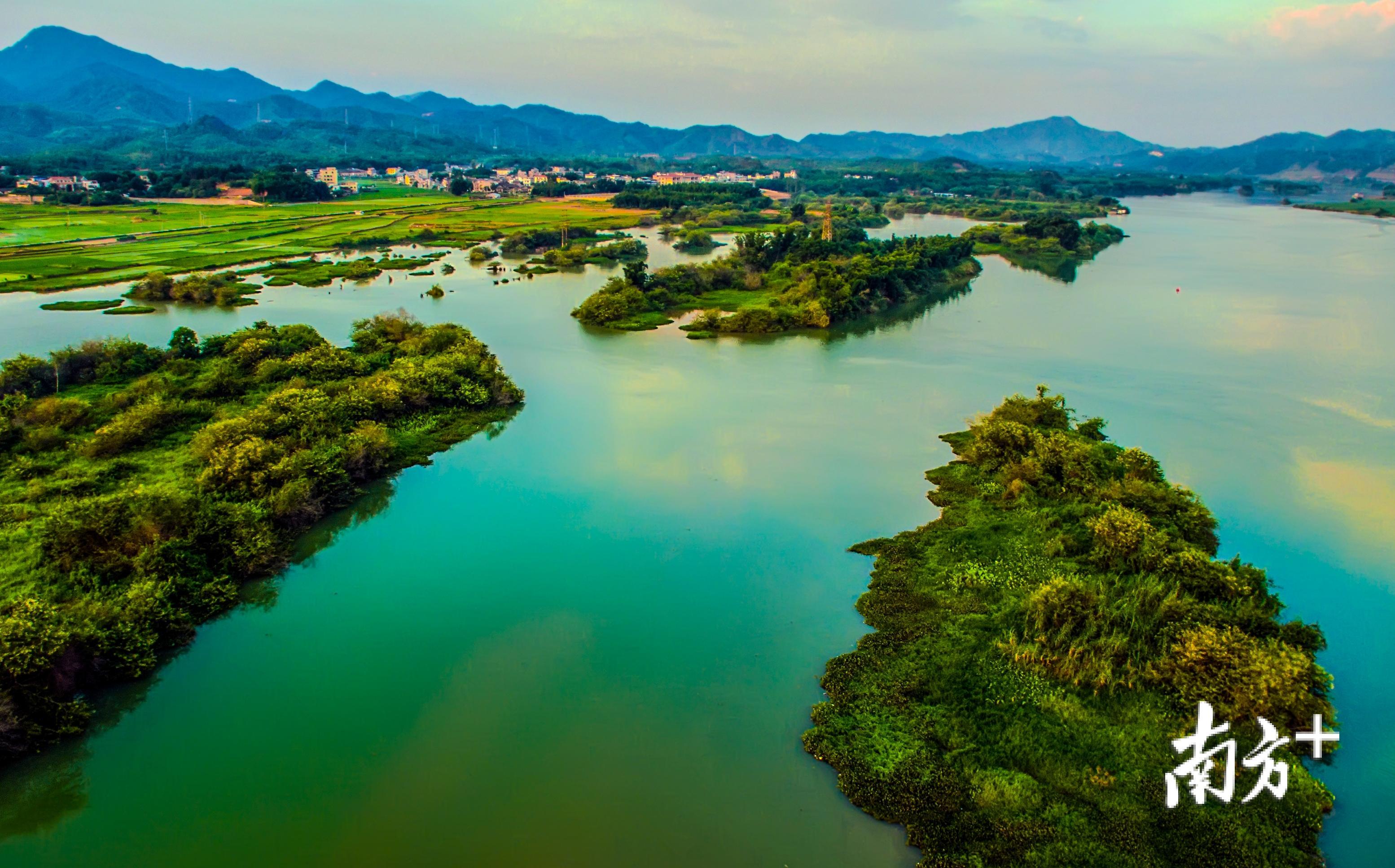 在东江画廊乘着小船顺流而下,划过东江浩渺的江面,两岸远山如黛,竹林