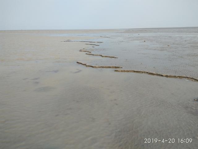 黄海沙滩纪行三潮水退去的沙滩让我狼狈不堪