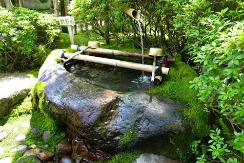 老外后院的池塘水景