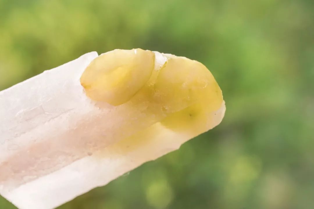 在家自制冰棍全攻略！水果棒冰、酸奶棒冰、自制梦龙