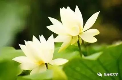 送给晚上睡不着觉的人!(句句扎心) ag真人登录