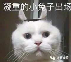 淘宝人生成就刷屏!30万50万上千万…这是在线买房了？