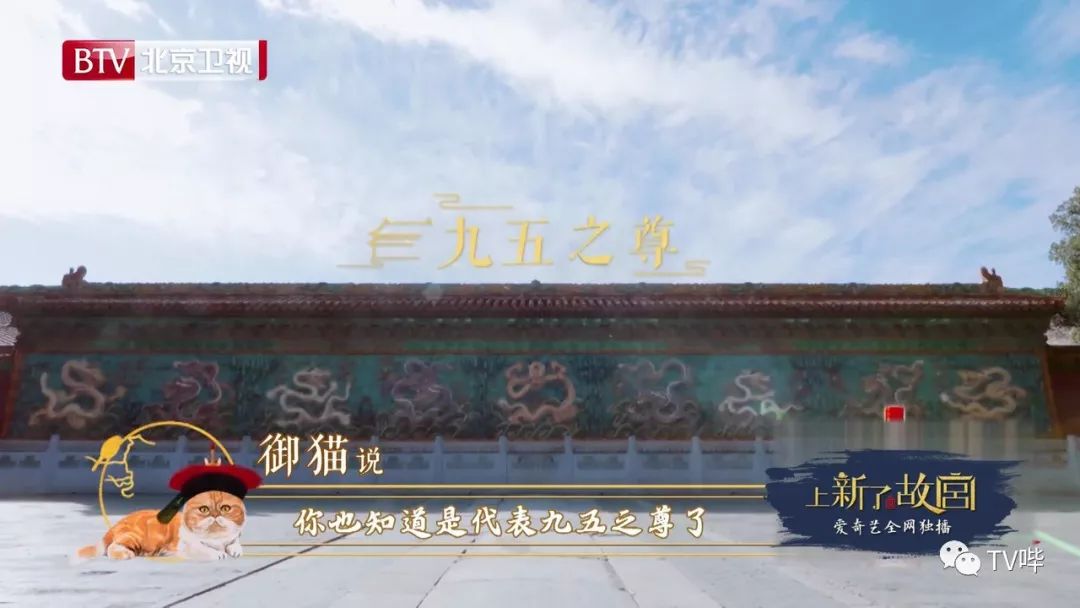 鲁班作为"导航猫",为邓伦和蔡少芬带路,并用它的视角和口吻,带观众