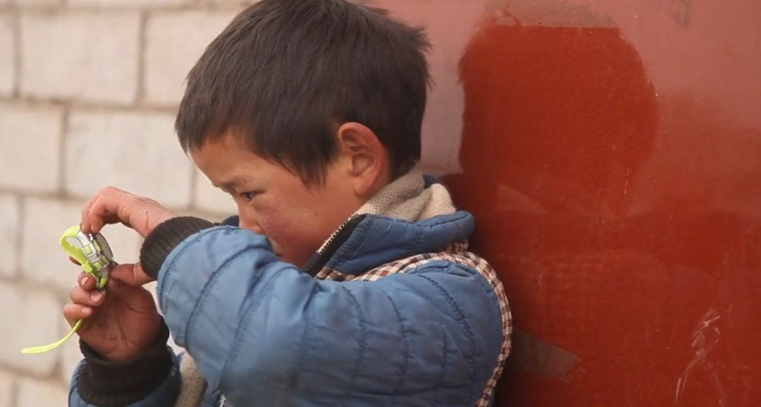 这部纪录片又把人看哭了