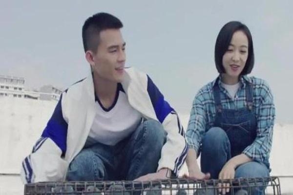 湖南卫视2019年新剧速递,有热门有大咖赵丽颖