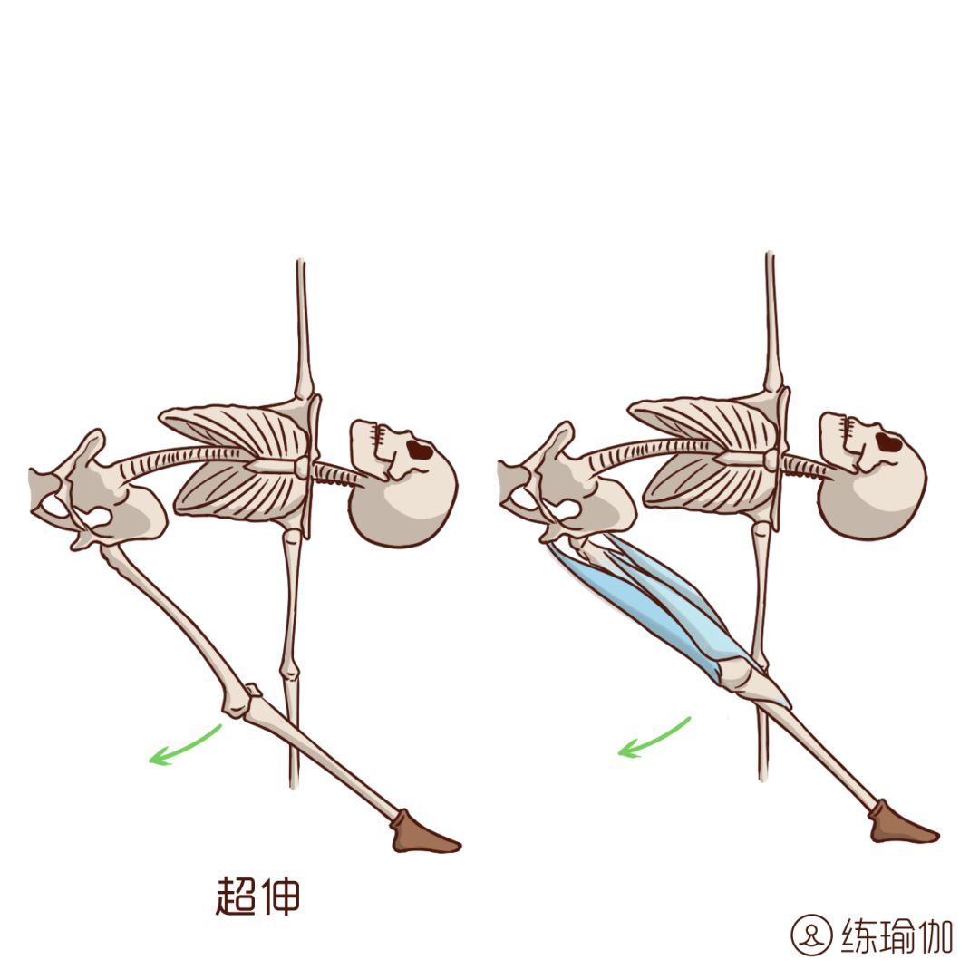 赵丽颖婚后首次现身,身材居然比冯绍峰还魁梧