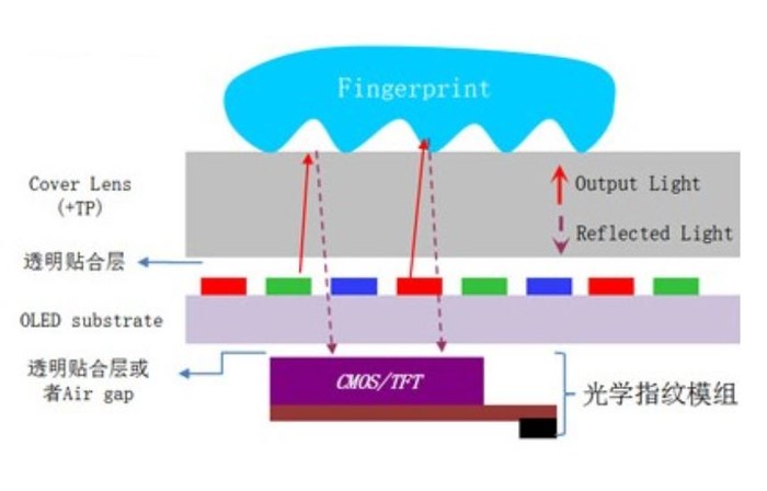 科普一分钟 |都是屏下指纹，三大方案有啥不同？