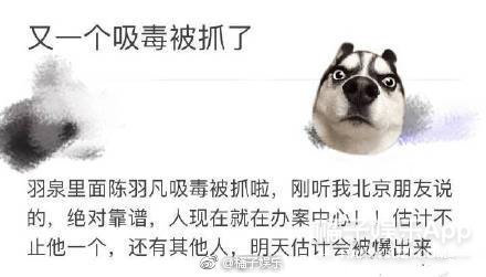 晚报|蒋劲夫、薛之谦、李小璐、陈羽凡，吃瓜笔记等你来抄