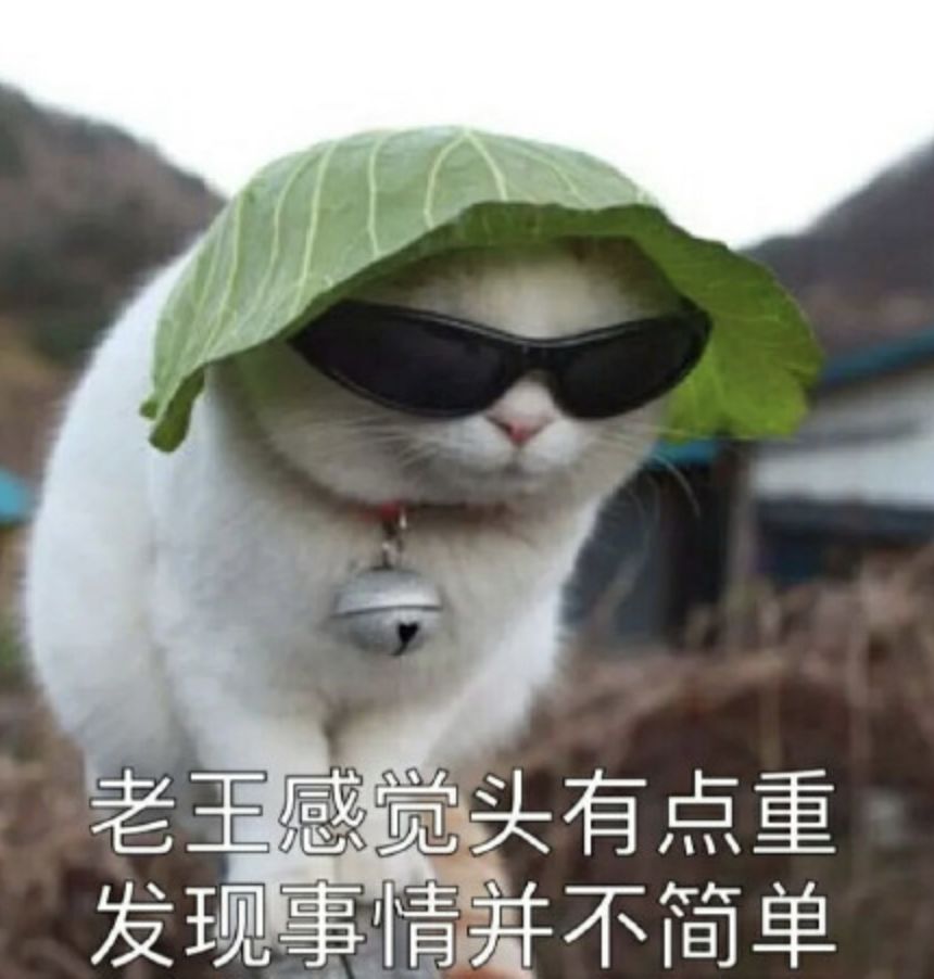 陈羽凡吸毒被抓扯出和白百何互殴狗血剧，去年打狗仔时还说自己能贩D！