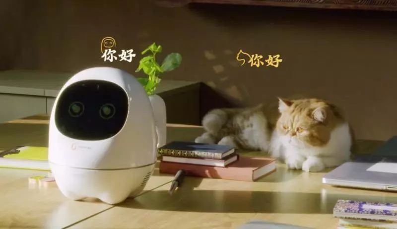 明星怎么都在玩蛋蛋