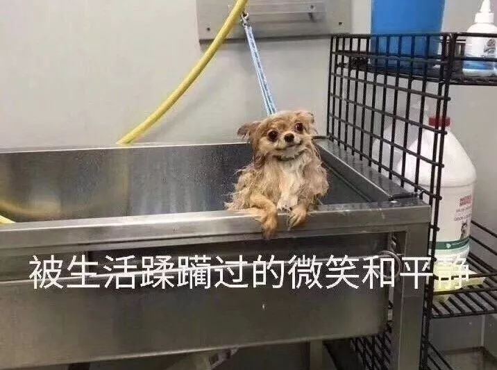 深夜一点，他在公园看了场10D爱情片
