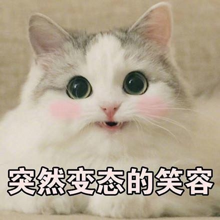 《失恋33天》剧组有毒，这位明星干的事儿和他的总裁脸也太不搭了