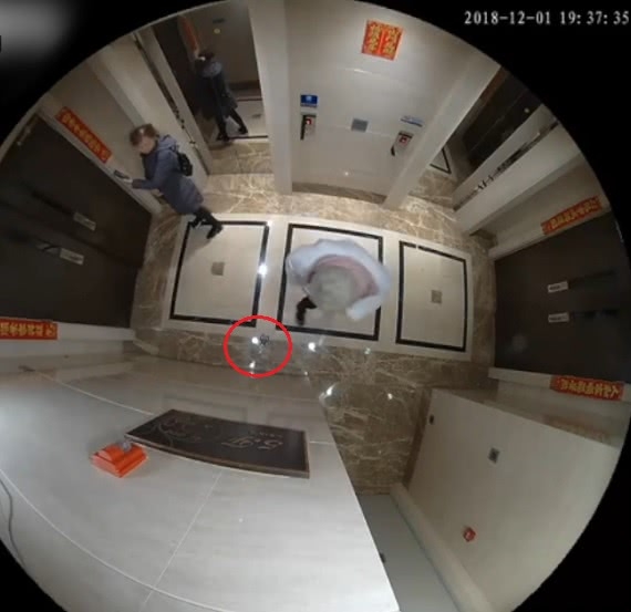 马蓉被打前视频曝光：电梯内试图破坏监控，剪刀掉落在地上