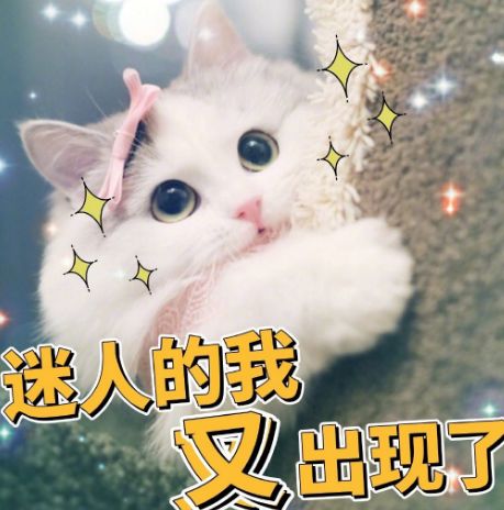 27岁年入1.5亿入选福布斯的网红，每天给自己换鼻子是什么操作？