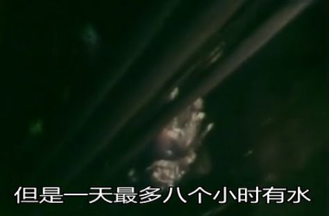王晶花千万,还原人间炼狱