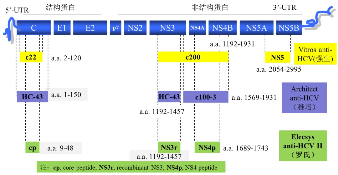 Hcv抗体检验的困局： 弱阳性”结果为什么这么多？