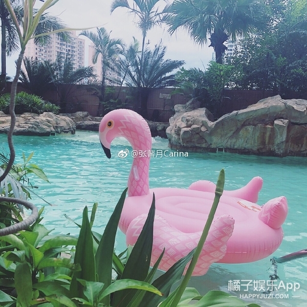 他怎么每次谈恋爱都在砸钱？