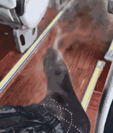 搞笑gif趣图:跆拳道黑带的高手