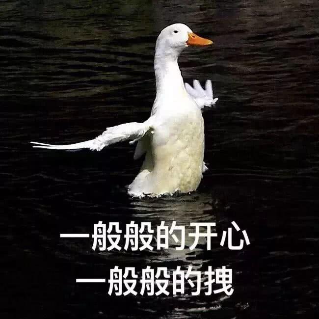 淘宝最好看的50只手机壳，最便宜的只要10块钱！