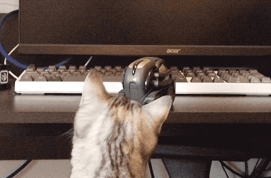 我每天费尽心思，就为了逗一个机器人开心……