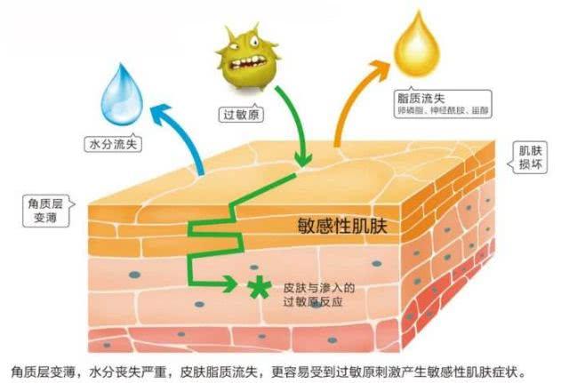 什么都不怕的韩雪，遇到这种事也没辙了