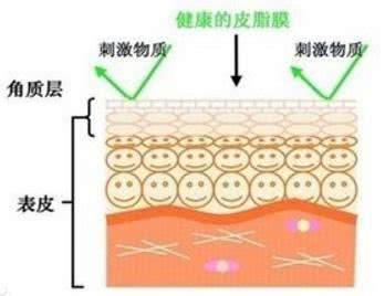 什么都不怕的韩雪，遇到这种事也没辙了