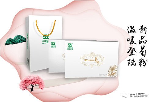 丝霖蔓雨品牌赞助陕西省美协2018行业发展高