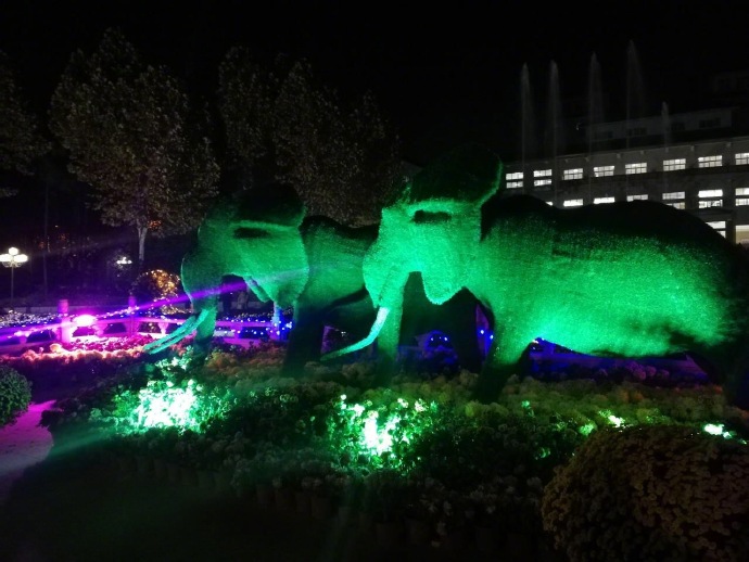 每日神段子丨生活让你咬牙坚持的真正目的是让你的咬肌变大 ​​​​