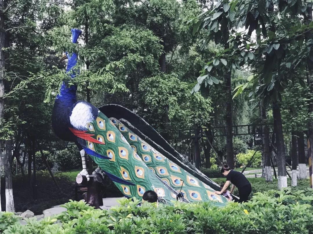 这一年,我用300万步串起了这些街巷,菜市,场镇,博物馆