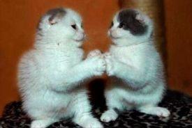 热巴最新直播自爆从小到大最自卑的颜值bug！竟然不是鼻子…