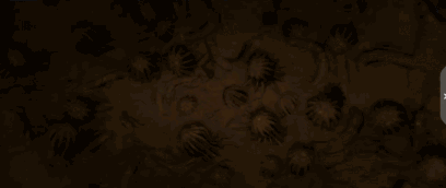 408_172gif 动态图 动图