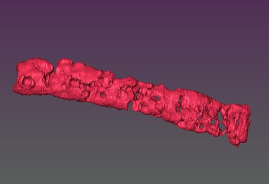 3D打印组织中的微孔允许氧气和物质流动