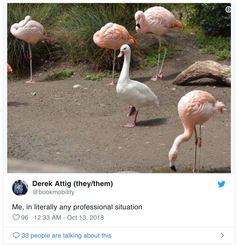 2018 年最有意思的 33 条推特：你能 get 到外国人的梗吗？