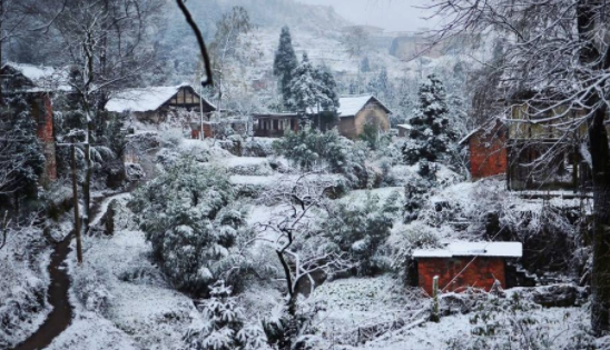 南下下雪了,农村的冬天吃什么好呢?补身又暖身