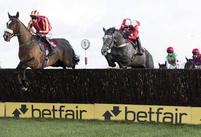 海南赛马的“回马枪”:政策一年两次摇摆,赛马第一股避嫌改名