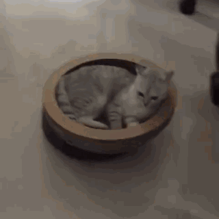 那些信过Refa、蒸脸仪邪的人,来看看你们交了多少智商税!