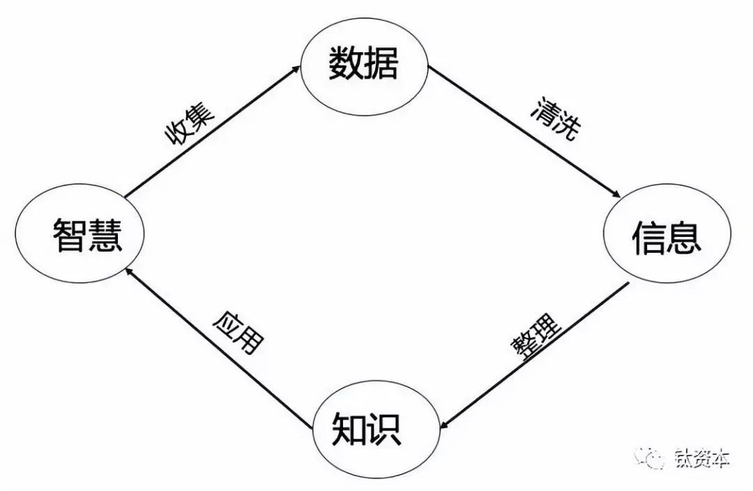 数据与智能融合，新赛道的投资机会如何判断？